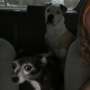 Meet your Posher, Tonya